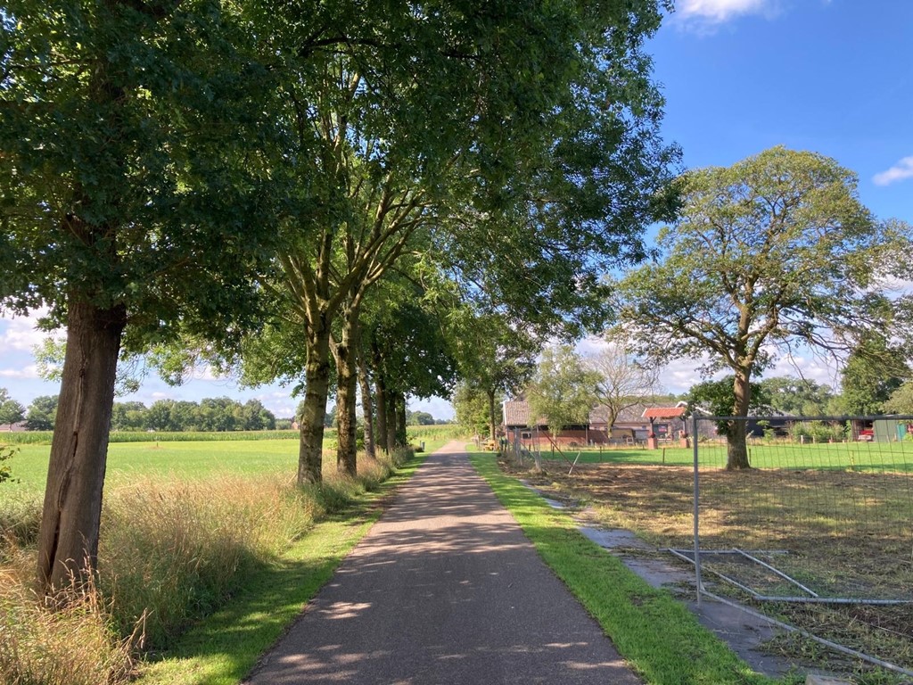 geersweg nieuwe foto juli 25 (5).jpeg